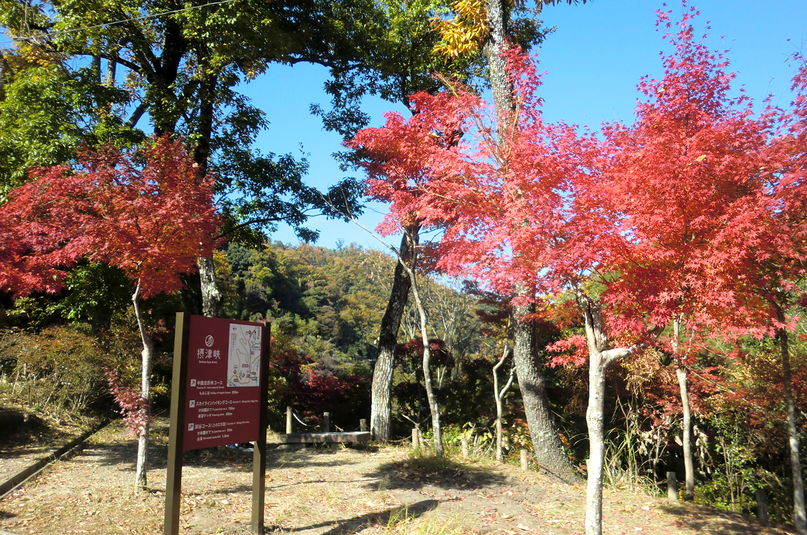 摂津市の出張買取イメージ