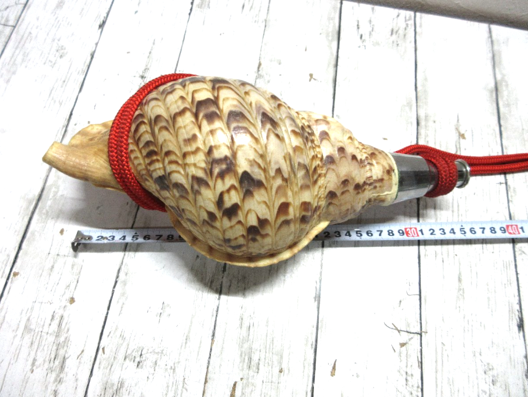 山伏が携えた？！法螺貝(ほら貝) | 大阪の骨董品・リサイクル品・不 