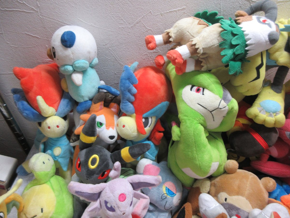 55匹まとめ売り！ pokemon ポケモンセンター ポケモンぬいぐるみ ポケモンセンター ぬいぐるみ | 大阪の骨董品・リサイクル品・不用品